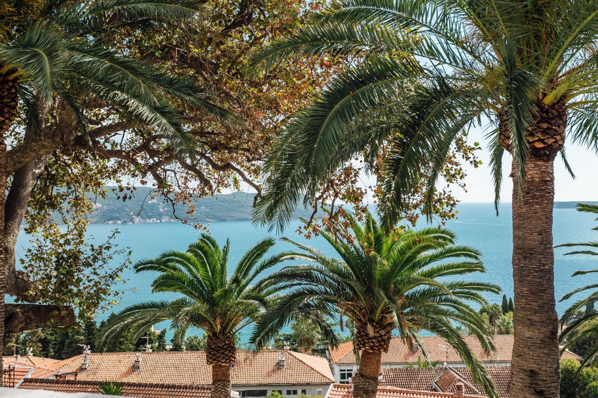 Apartments Belvedere Herceg Novi Pokój zdjęcie